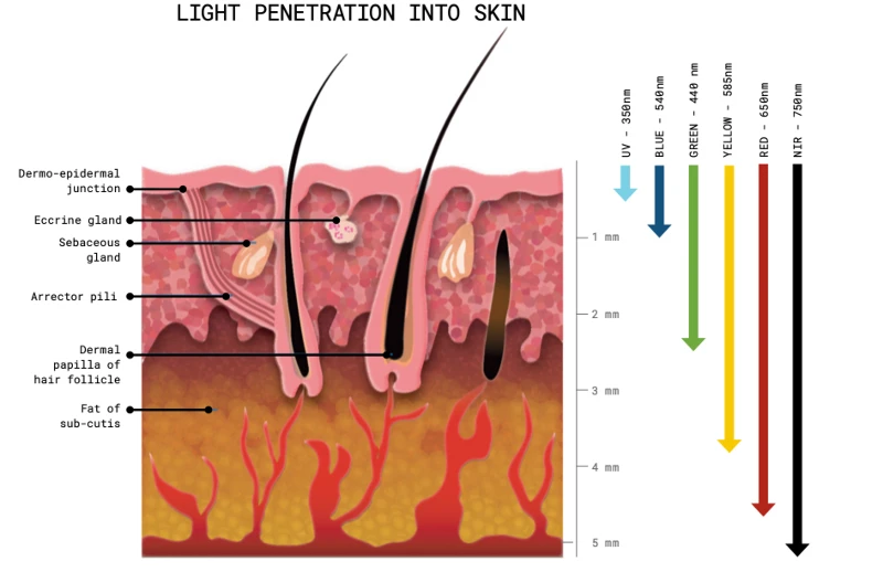 Light Therapy Light Therapy